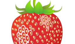 草莓视频免费观看,解锁精彩瞬间！